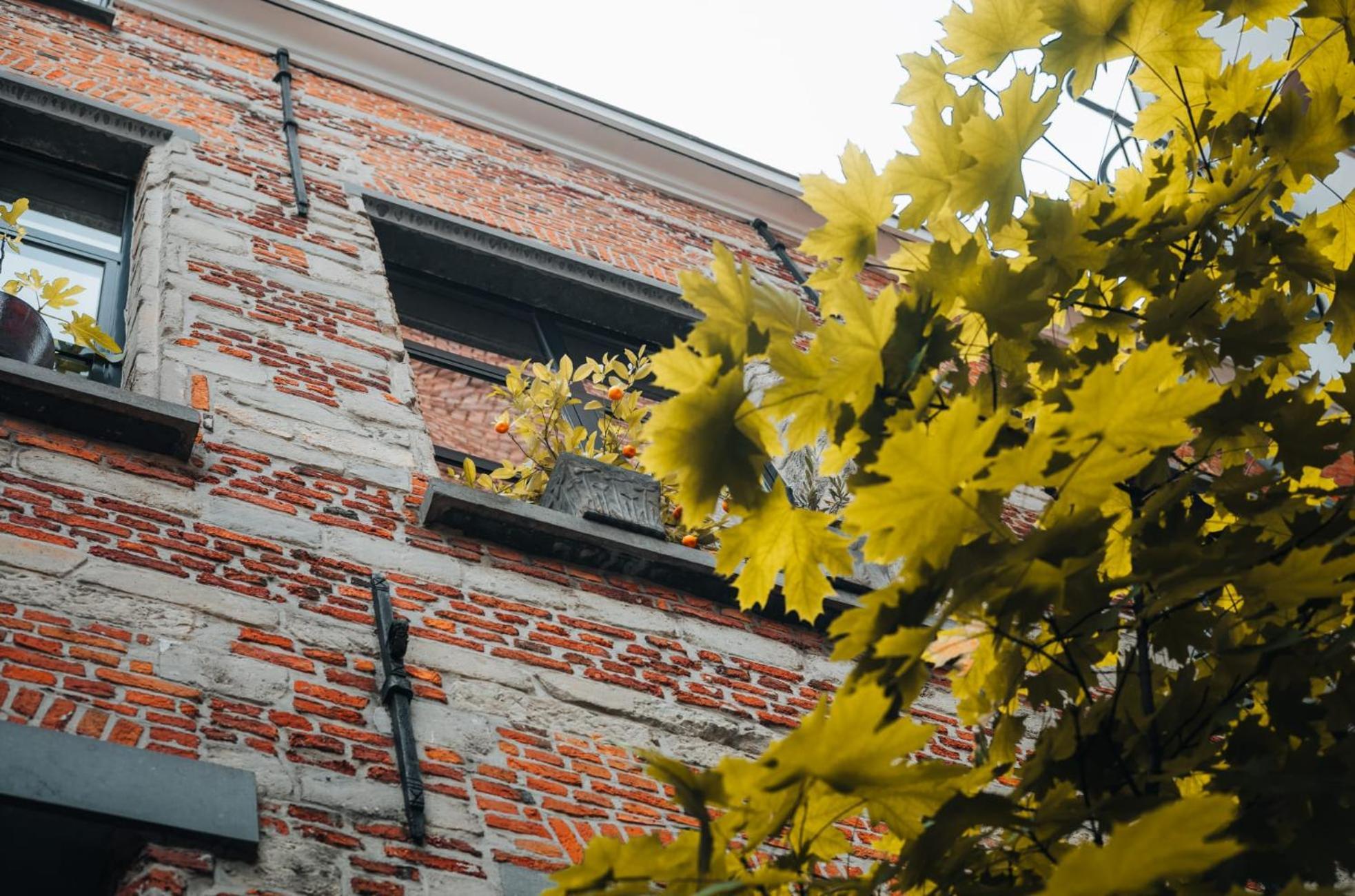Duplex In Historical Centre With Private Courtyard Daire Anvers Dış mekan fotoğraf